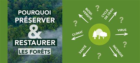 Infographie comparant les méthodes de fabrication des forets laminés et taillés-meulés