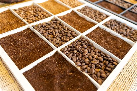 Types de grains de café mexicains