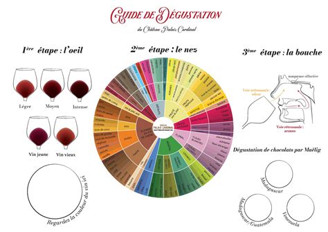 Guide de dégustation du café mexicain