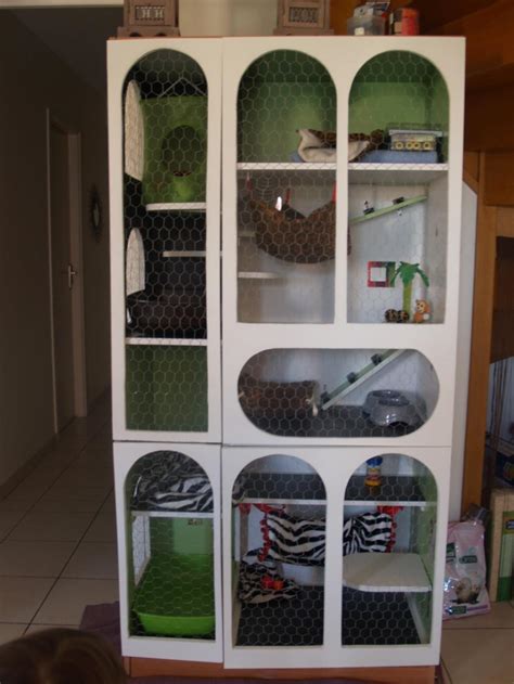 Aménagement idéal d'une cage pour furet