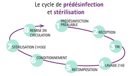 Schéma des différents types de stérilisation du furet