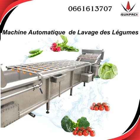 Machine de lavage de légumes feuillus BRIAND