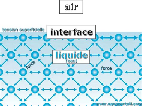 Schéma explicatif de la tension superficielle de l'eau brisée par le savon