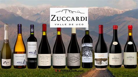 Vignoble de Zuccardi avec les Andes en arrière-plan