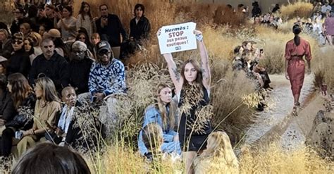 Militante PETA déguisée en chèvre, lors d'une action de sensibilisation à la tonte du cachemire