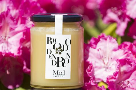 Miel de rhododendron avec fleurs de rhododendron en arrière-plan