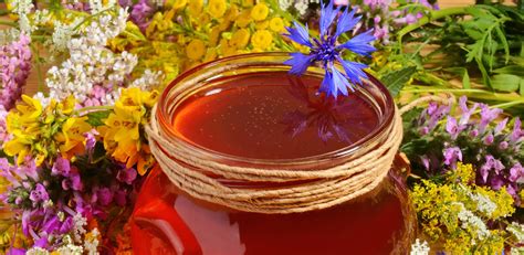 Diagramme comparatif entre miel monofloral et miel polyfloral