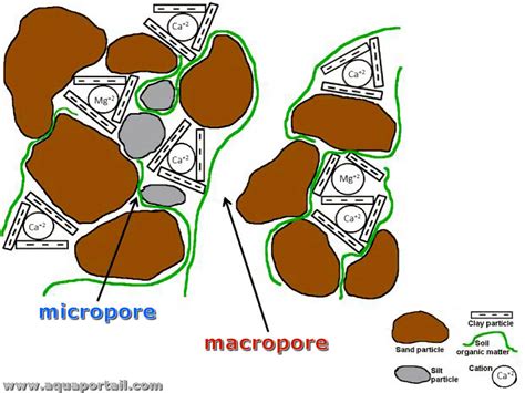 Schéma de la porosité du sol (macropores et micropores)
