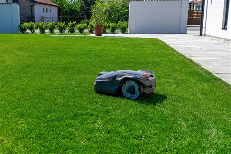 Infographie sur les avantages du mulching pour la pelouse