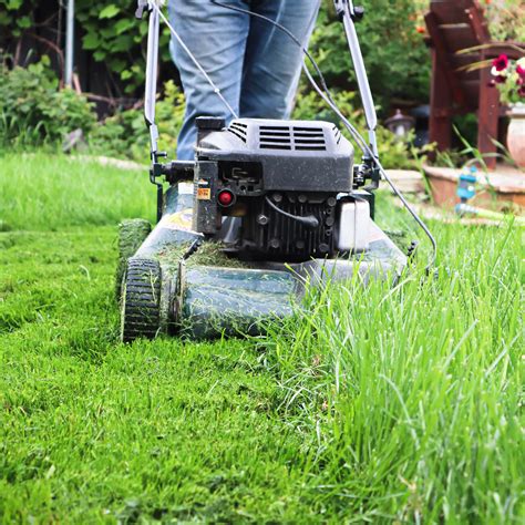 Comparaison visuelle entre tonte classique et tonte mulching