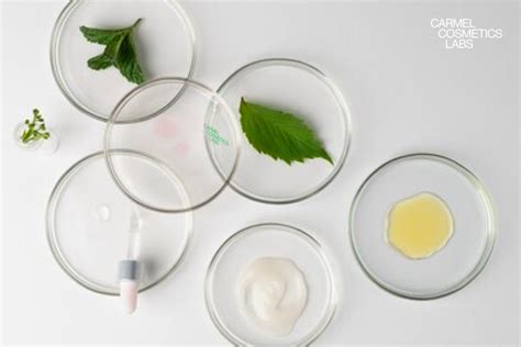 une sélection de flacons de cosmétiques naturels aux ingrédients botaniques