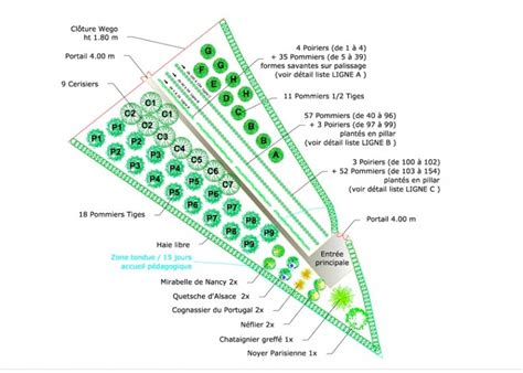 Schéma de plantation pour un verger compact en petit jardin