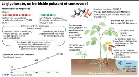 Infographie comparant les conclusions du Circ et de l'EFSA sur le glyphosate