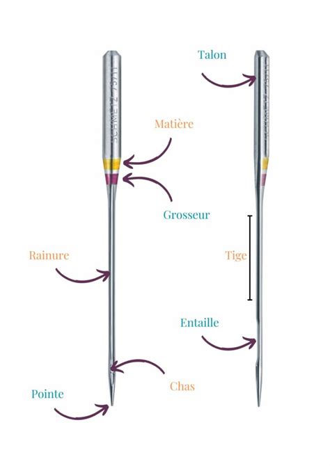 Schéma explicatif de la structure d'une aiguille de conifère et de sa couche de cire protectrice
