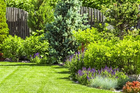 Un jardin bien entretenu avec une bordure nette réalisée au coupe-bordure