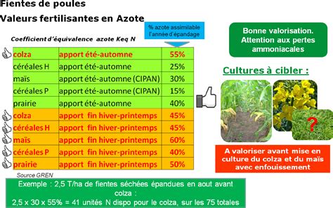 Diagramme comparatif des apports NPK : Fientes de poule vs Compost classique