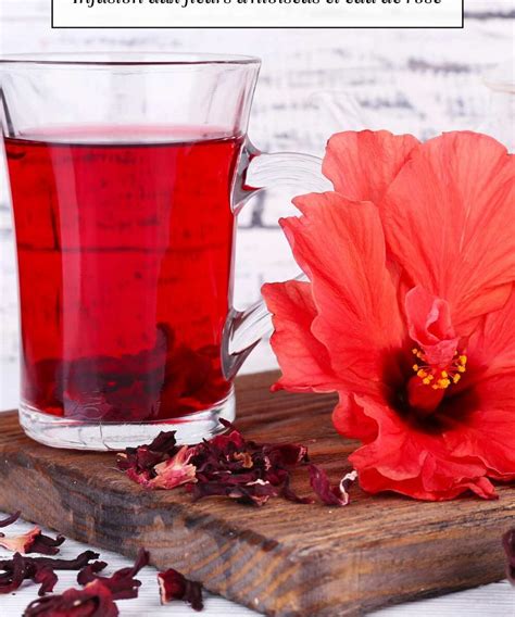 Infusion de fleurs d'hibiscus
