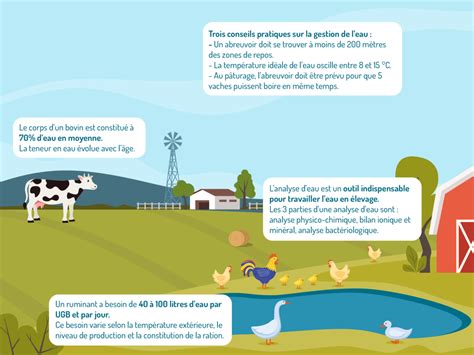 Infographie comparant les besoins en eau et la rentabilité des différents types d'animaux