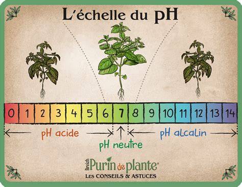 graphique montrant l'échelle de pH idéale pour différentes plantes de jardin