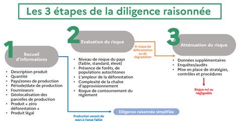Infographie montrant les étapes de la taille raisonnée et de la prévention des maladies