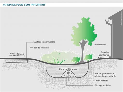 Schéma d'aménagement d'un jardin de pluie pour l'infiltration