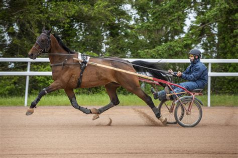 Portrait d'un entraîneur de trotteurs sur une piste d'entraînement en Vendée
