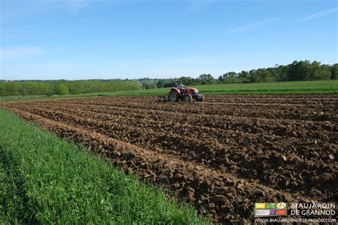 Photo d'une récolte diversifiée de légumes sur une planche permanente