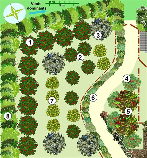 Vue aérienne d'un jardin en permaculture diversifié et luxuriant