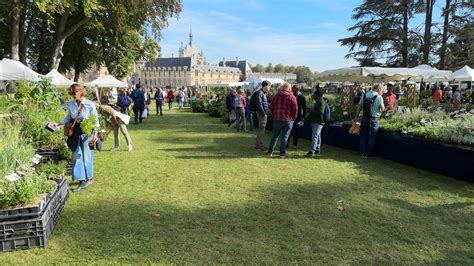 Plantes et fleurs variées lors d'une foire de jardinage