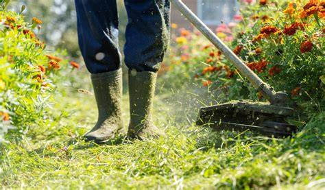 Tondeuse à gazon coupant de l'herbe haute dans un jardin