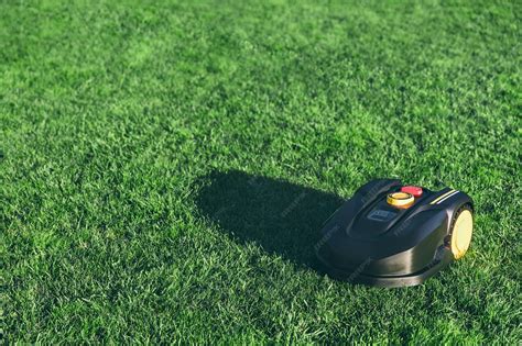 Robot tondeuse coupant l'herbe sur une pelouse plate