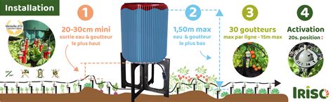 Schéma illustrant l'installation d'un système goutte-à-goutte sous la toile de paillage