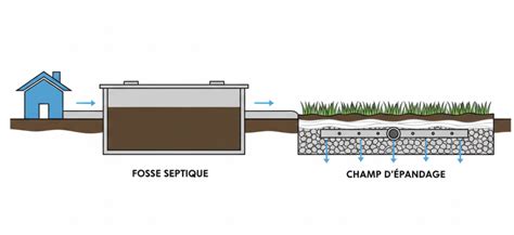 Illustration montrant l'épandage de BRF sur un sol de jardin