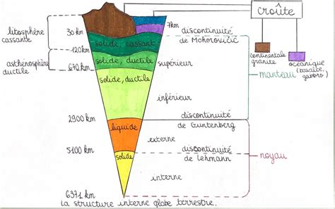 Schéma illustrant l'épaisseur de la couche de BRF et l'action des champignons