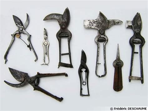 Dimensions variées de sécateurs anciens