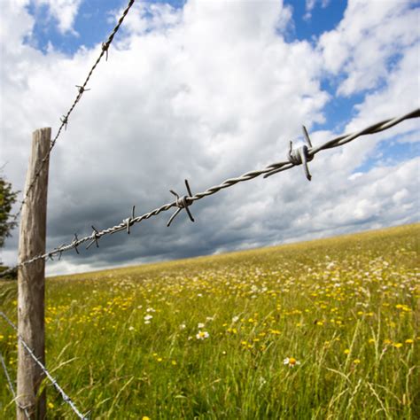 Clôture en fil de fer barbelé entourant un champ