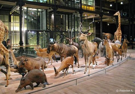 Vue aérienne du Jardin des Plantes avec la Grande Galerie de l'Évolution