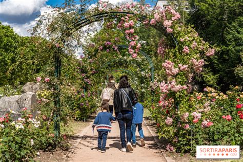 Roseraie du Jardin des Plantes