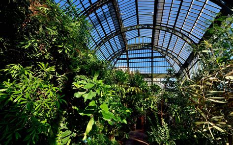Intérieur des Grandes Serres du Jardin des Plantes