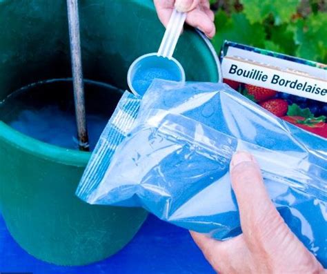 Applicaton de bouillie bordelaise