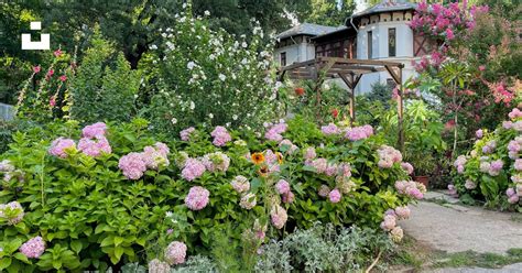 Jardin arboré et fleuri d'une maison d'hôtes traditionnelle