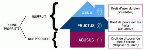 Schéma illustrant le démembrement de propriété : Usufruit (Usus + Fructus) et Nue-propriété (Abusus)