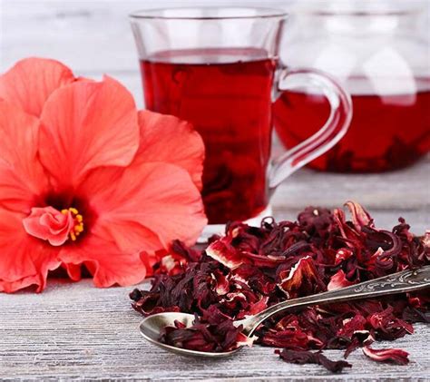 Infographie récapitulant les bienfaits de l'hibiscus