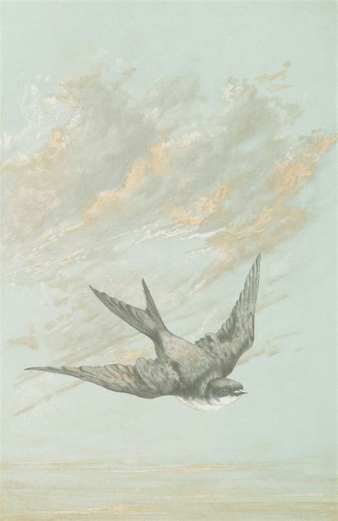 Représentation artistique d'un Daeva volant dans le ciel d'Aion