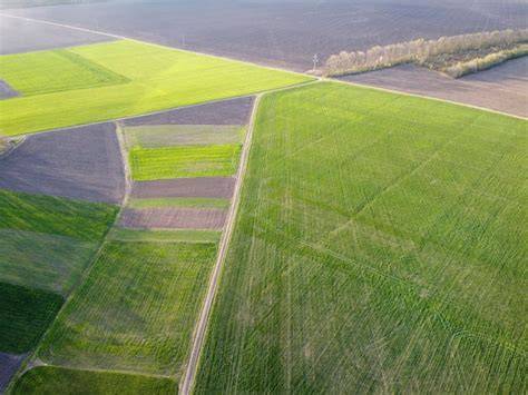 Différentes plantations agricoles