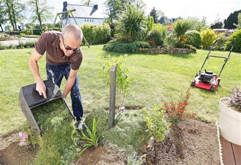 Illustration montrant l'épaisseur idéale d'une couche de paillis d'herbe tondue autour d'un légume