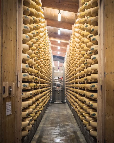 Meules de Comté en cave d'affinage