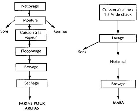 Diagramme du processus de transformation du blé en galettes