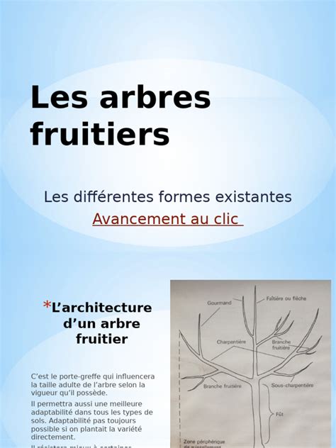 Diagramme des différentes formes d'arbres fruitiers