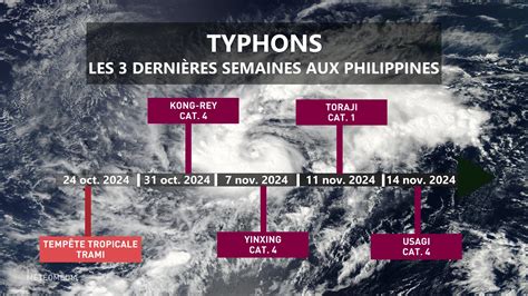 Conséquences d'un typhon sur la végétation